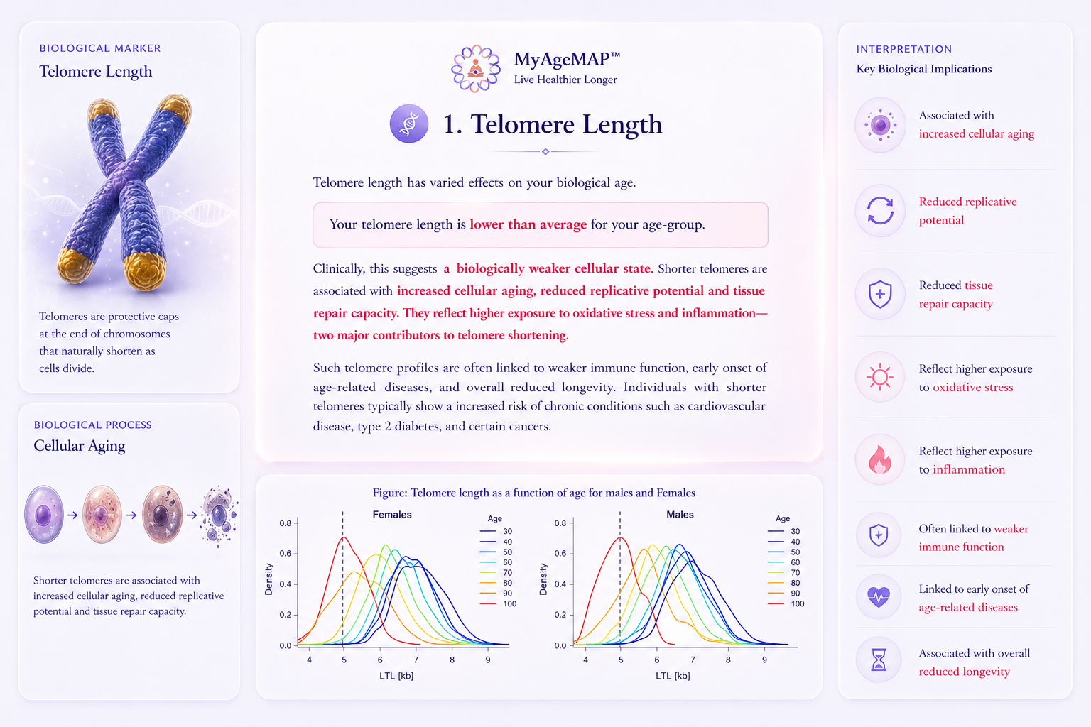 Scientific methodology page explaining telomere length, cellular aging, and biological implications.
